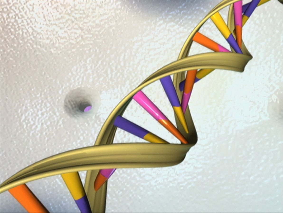 A colorful illustration of a twisting DNA double helix against a pale background